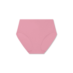 Women's No Show High Rise Brief