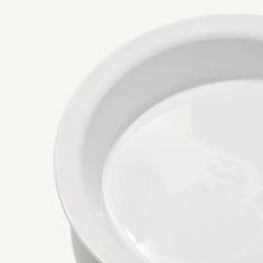 Pie Dish